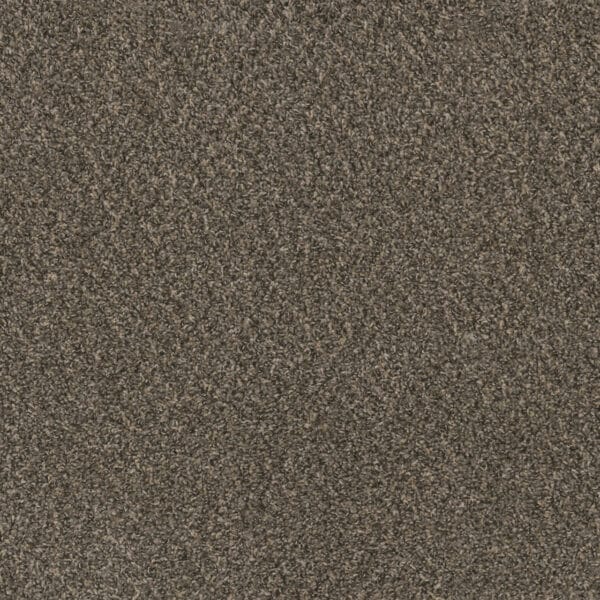 Dreamweaver Carpet Hot Pursuit ironside Carpet 1424_783
