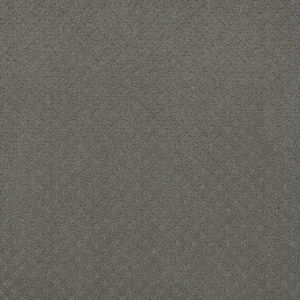 Dreamweaver Carpet Capri Skyway Carpet 1428_6009