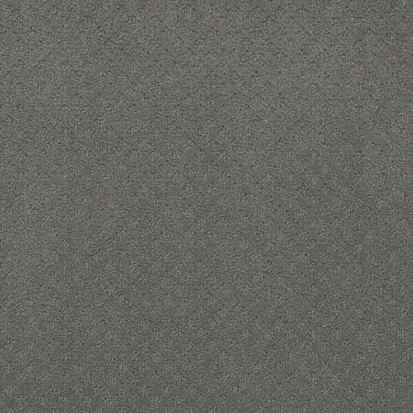 Dreamweaver Carpet Capri Skyway Carpet 1428_6009