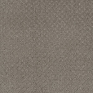Dreamweaver Carpet Capri Stratosphere Carpet 1428_6054