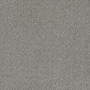 Dreamweaver Carpet Capri Icefield Carpet 1428_620