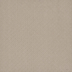 Dreamweaver Carpet Capri Champagne Fizz Carpet 1428_6309