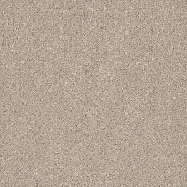 Dreamweaver Carpet Capri Champagne Fizz Carpet 1428_6309