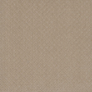 Dreamweaver Carpet Capri Soft Pine Carpet 1428_6317