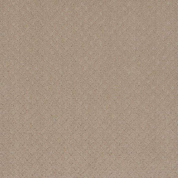 Dreamweaver Carpet Capri Soft Pine Carpet 1428_6317