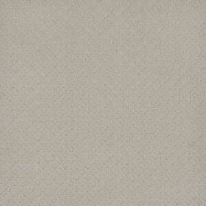 Dreamweaver Carpet Capri Snow Cap Carpet 1428_6319