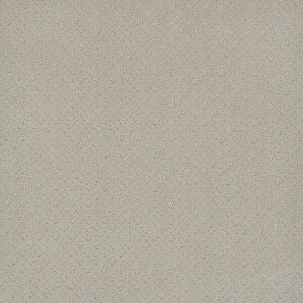 Dreamweaver Carpet Capri Snow Cap Carpet 1428_6319