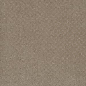 Dreamweaver Carpet Capri Warm Sand Carpet 1428_6339