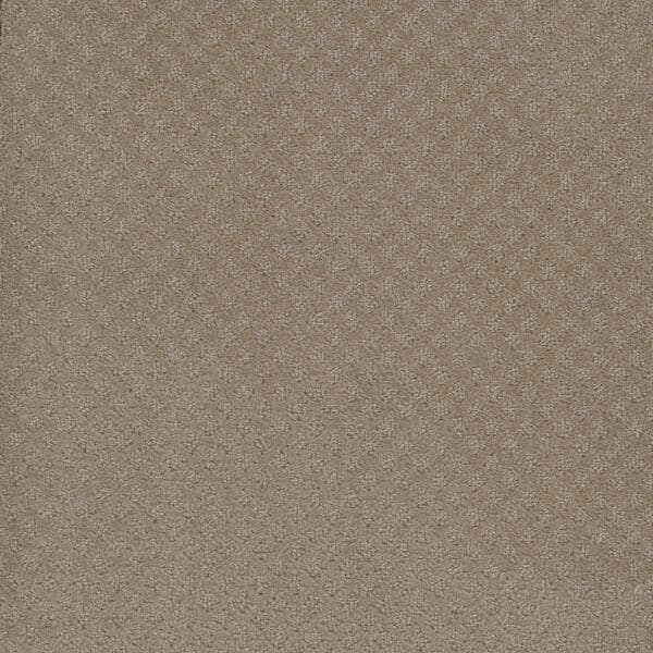 Dreamweaver Carpet Capri Warm Sand Carpet 1428_6339