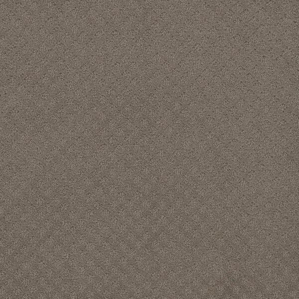 Dreamweaver Carpet Capri Topaz Carpet 1428_6410