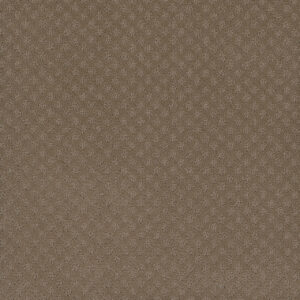 Dreamweaver Carpet Capri Deer Path Carpet 1428_6564