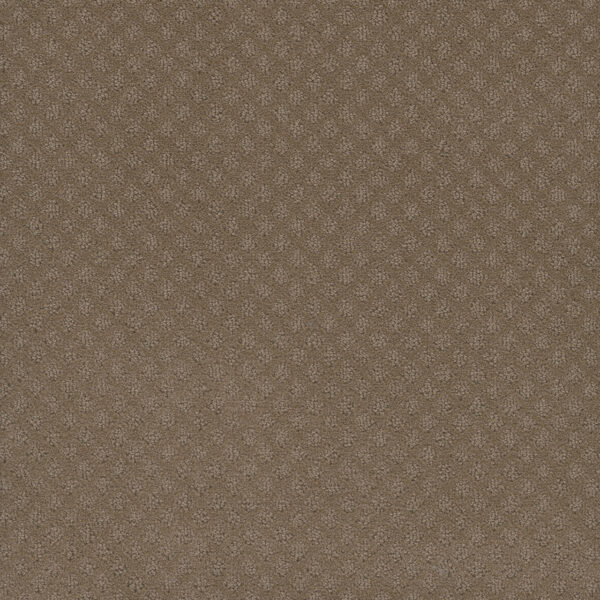 Dreamweaver Carpet Capri Deer Path Carpet 1428_6564