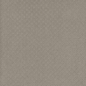 Dreamweaver Carpet Capri Arrowhead Carpet 1428_6827