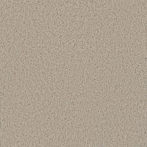 Dreamweaver Carpet Tracker Cameo Carpet 1524_174