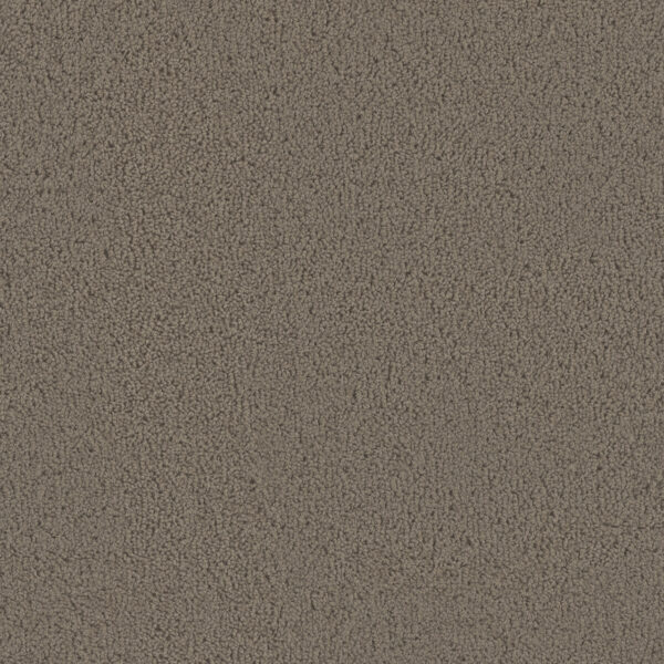 Dreamweaver Carpet Tracker Barnwood Carpet 1524_550