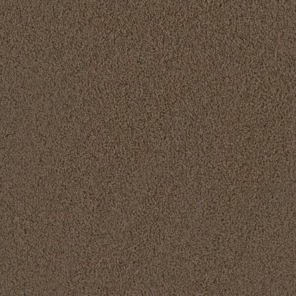 Dreamweaver Carpet Tracker Taupe Carpet 1524_565