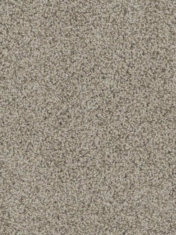 Dreamweaver Carpet Tracker Almond Carpet 1524_782