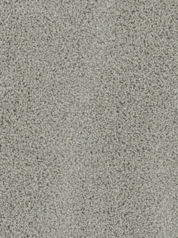 Dreamweaver Carpet Tracker Dove Carpet 1524_800