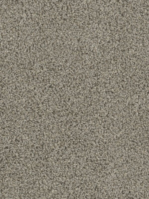 Dreamweaver Carpet Tracker Cinder Carpet 1524_835