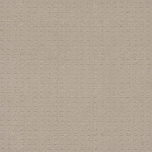 Dreamweaver Carpet Caspian Champagne Fizz Carpet 1528_6309