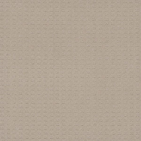 Dreamweaver Carpet Caspian Champagne Fizz Carpet 1528_6309