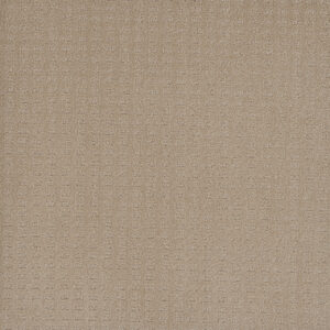 Dreamweaver Carpet Caspian Soft Pine Carpet 1528_6317