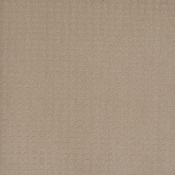 Dreamweaver Carpet Caspian Soft Pine Carpet 1528_6317