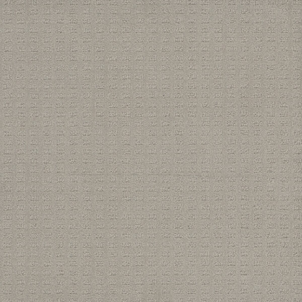 Dreamweaver Carpet Caspian Snow Cap Carpet 1528_6319