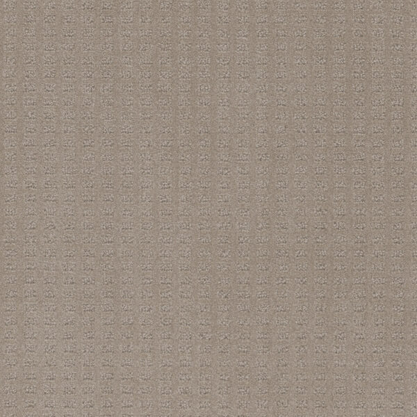Dreamweaver Carpet Caspian Warm Sand Carpet 1528_6339