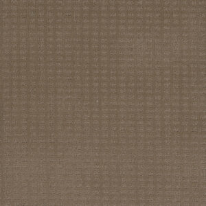 Dreamweaver Carpet Caspian Deer Path Carpet 1528_6564