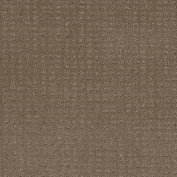 Dreamweaver Carpet Caspian Deer Path Carpet 1528_6564