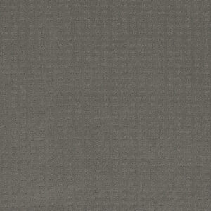 Dreamweaver Carpet Caspian Timber Ridge Carpet 1528_6841