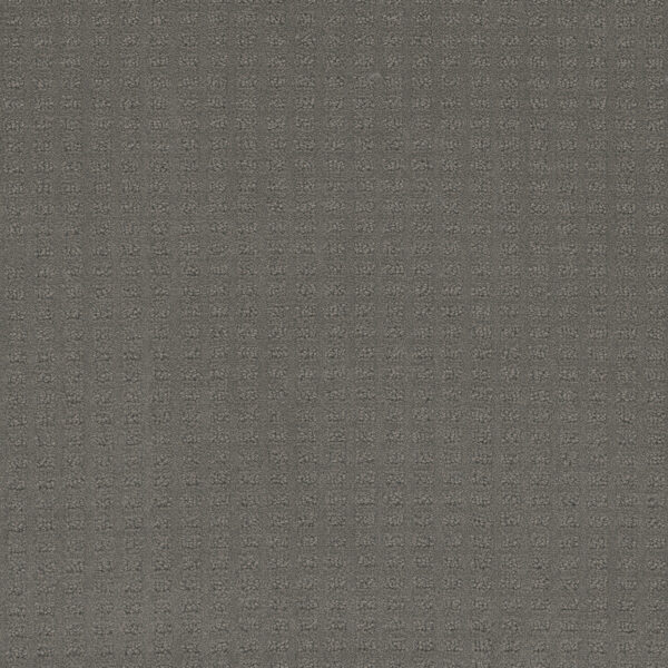 Dreamweaver Carpet Caspian Timber Ridge Carpet 1528_6841