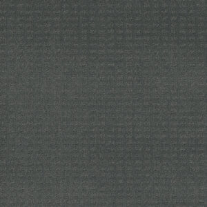Dreamweaver Carpet Caspian Onyx Waves Carpet 1528_890
