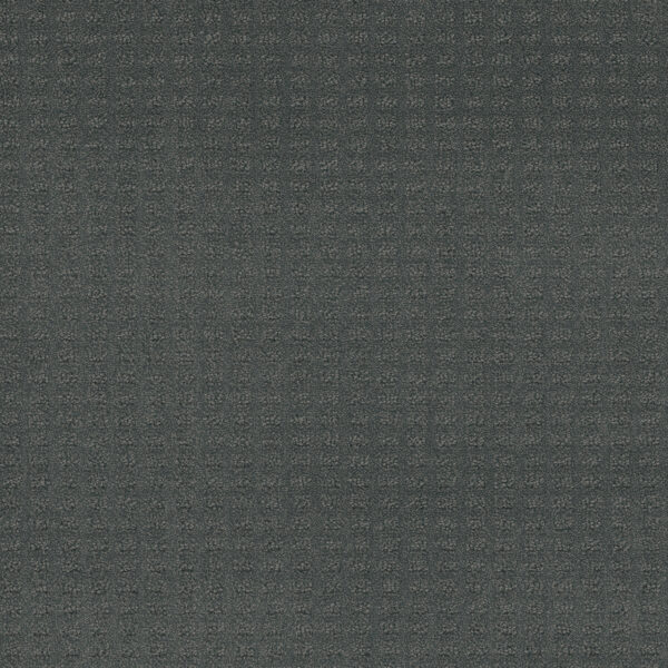 Dreamweaver Carpet Caspian Onyx Waves Carpet 1528_890