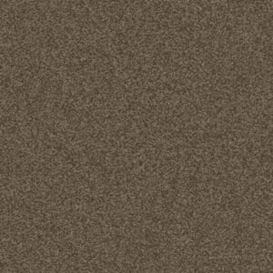Mohawk Aladdin Commercial Major Factor Bark Carpet Tile