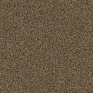 Mohawk Aladdin Commercial Major Factor Wood Carpet Tile