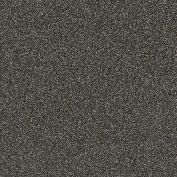 Dreamweaver Carpet No Limits I Magnetic Carpet 9337_2024