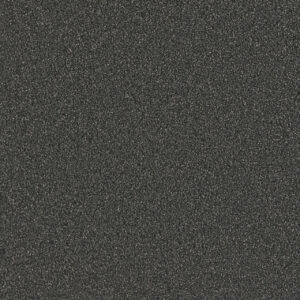 Dreamweaver Carpet No Limits I Heavy Metal Carpet 9337_2025