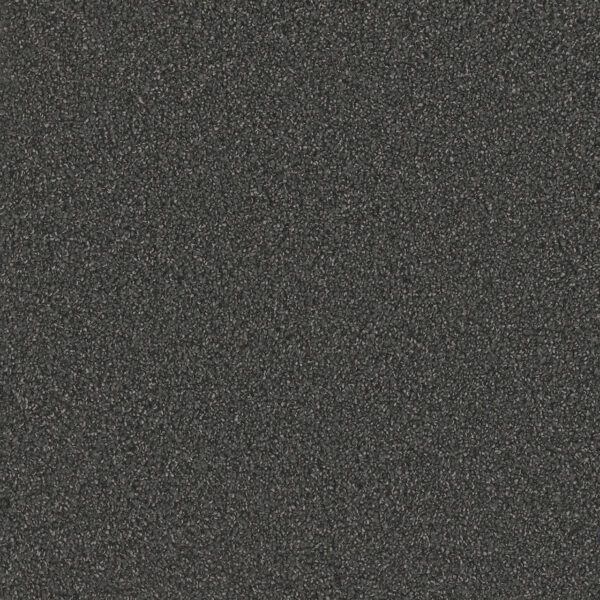 Dreamweaver Carpet No Limits II Heavy Metal Carpet 9346_2025