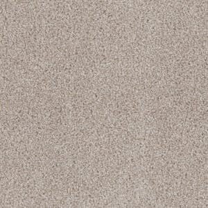Dreamweaver Carpet Cedar Creek Cameo Carpet 2030_174