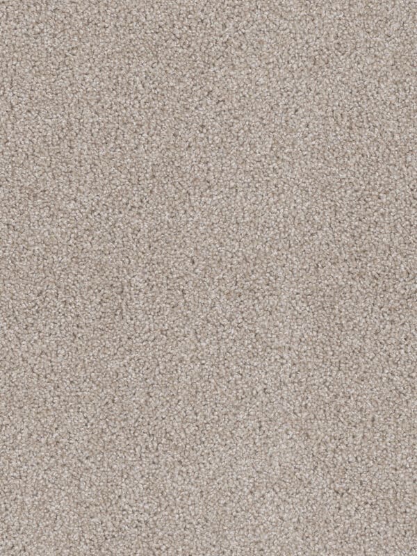 Dreamweaver Carpet Cedar Creek Cameo Carpet 2030_174