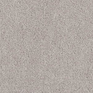 Dreamweaver Carpet Cedar Creek Clam Shell Carpet 2030_182