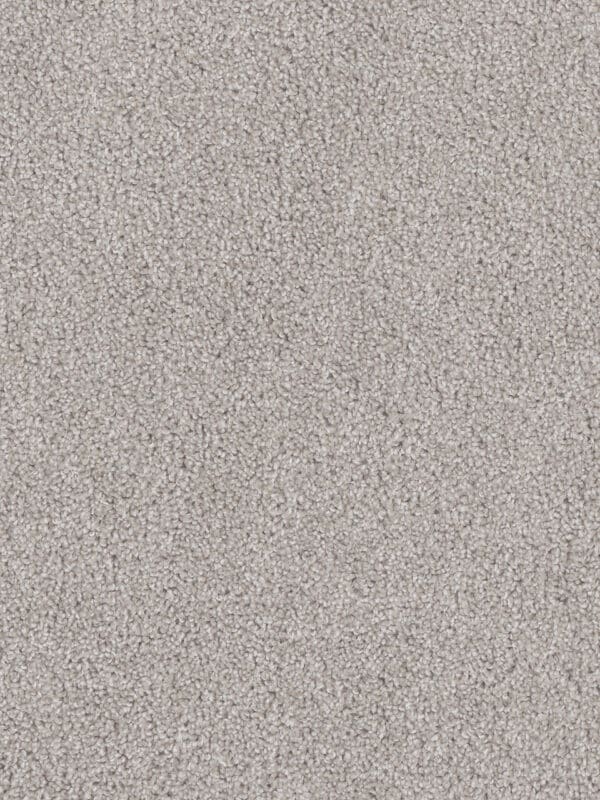 Dreamweaver Carpet Cedar Creek Clam Shell Carpet 2030_182