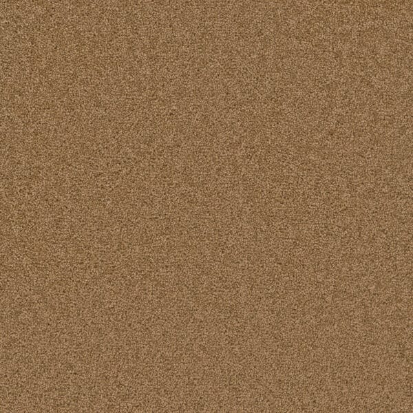 Dreamweaver Carpet Cedar Creek Honey Beige Carpet 2030_510