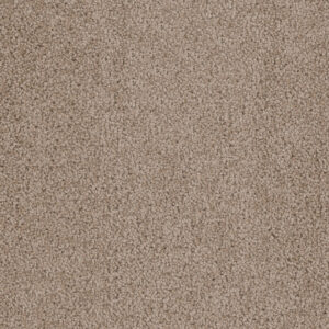 Dreamweaver Carpet Cedar Creek Doeskin Carpet 2030_530