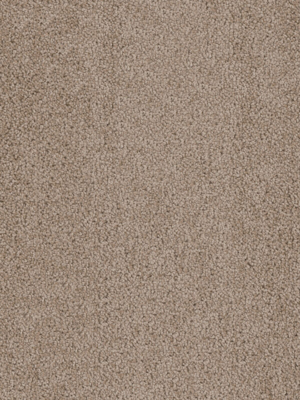 Dreamweaver Carpet Cedar Creek Doeskin Carpet 2030_530
