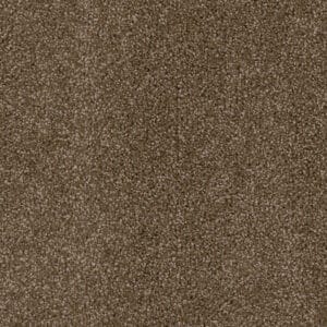 Dreamweaver Carpet Cedar Creek Black Walnut Carpet 2030_540