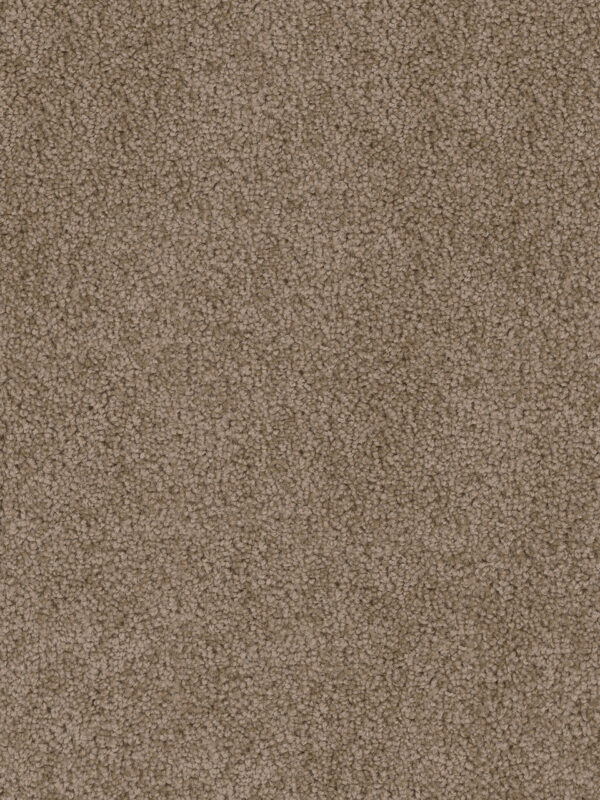 Dreamweaver Carpet Cedar Creek Taupe Carpet 2030_565