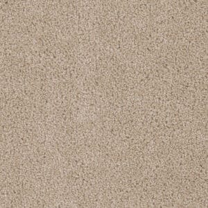Dreamweaver Carpet Cedar Creek Cashmere Carpet 2030_580